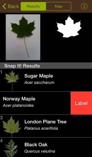 SCARICARE LEAFSNAP
